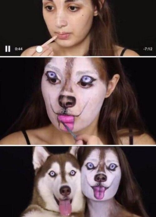 What you won't do when your dog demands a bitch - Male, Husky, Laika, Xs, Makeup, Bitch