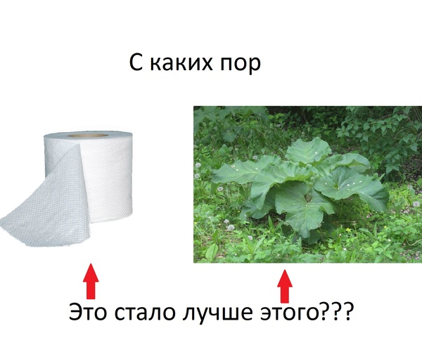 Since when??? - My, Memes, Burdock, Toilet paper, It is better, New