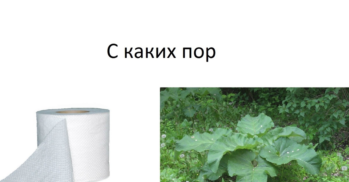 С каких пор