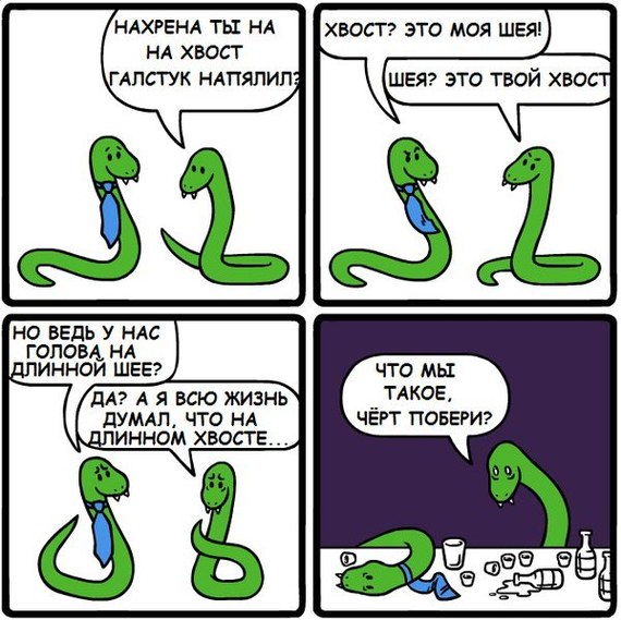 Comic about snakes - Memes, Snake, Comics, From the network