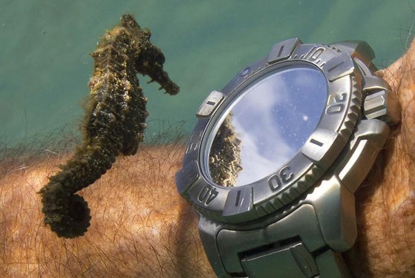 Waterproof - , Clock, Diving, Watertightness