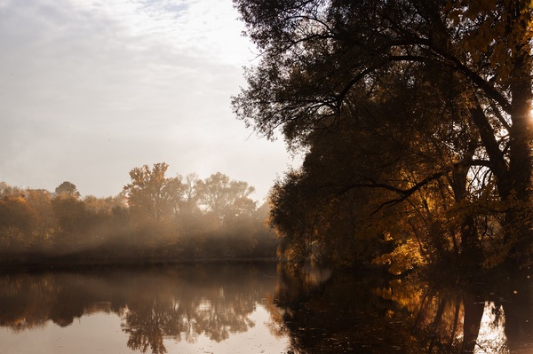 Yasnaya Polyana - My, Tula, The nature of Russia, Yasnaya Polyana, Autumn