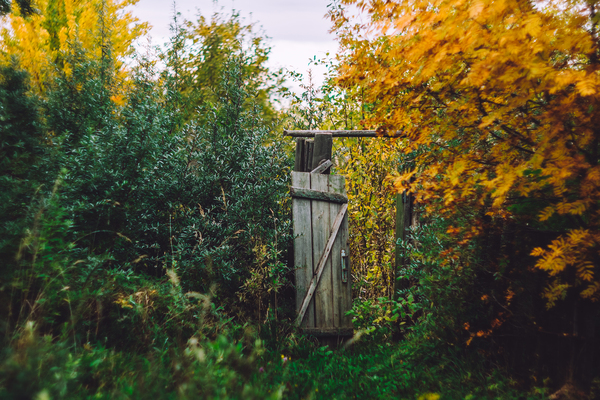 Door to autumn - My, Autumn, Village, , Helios 40