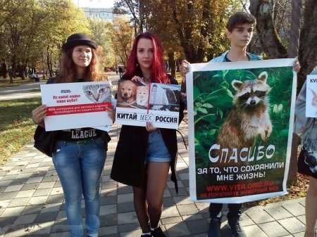 Акция против убийства животных разозлила жителей Ставрополя - Ставрополь, Акции, Вегетарианство