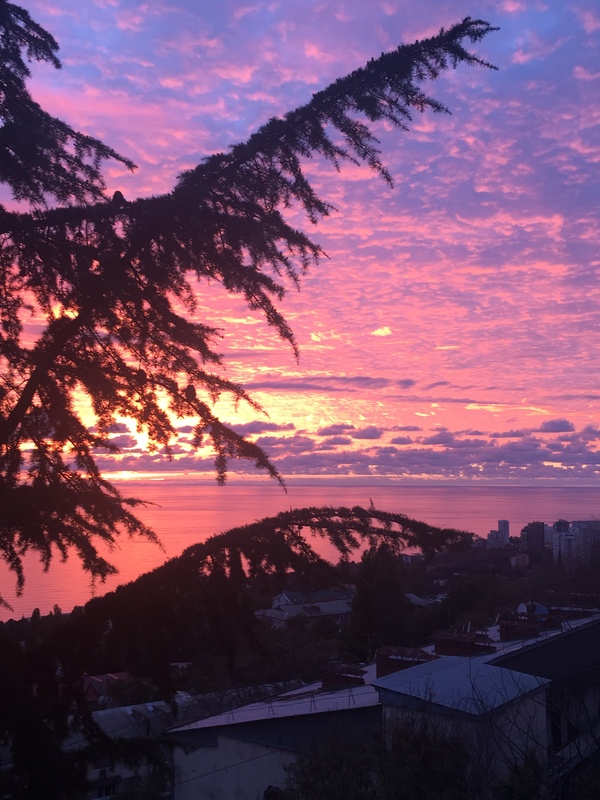 ��� ��� �� ����