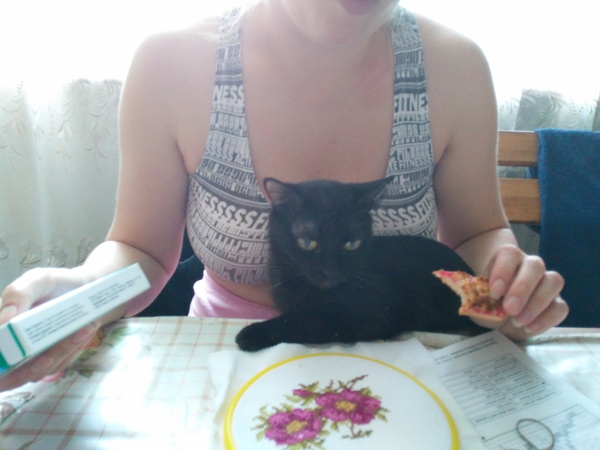 The cat is gone - My, Krasnodar, The missing, cat, Help