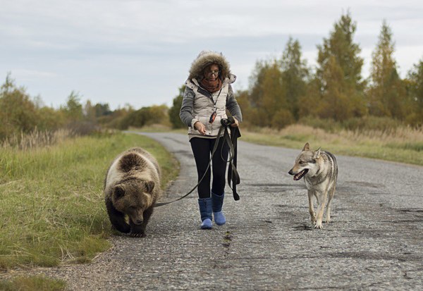 Somewhere in the Tver region... - The Bears, Not mine, Animals, Russia, Longpost, Dog