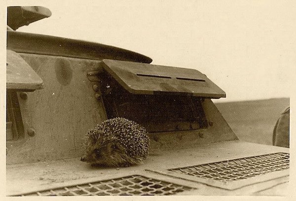 �� ���������������