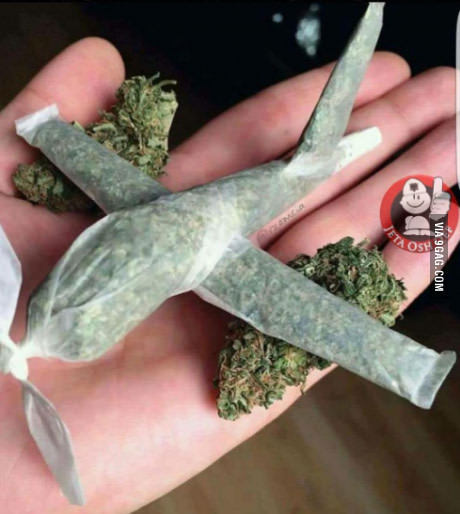 марихуана в самолете
