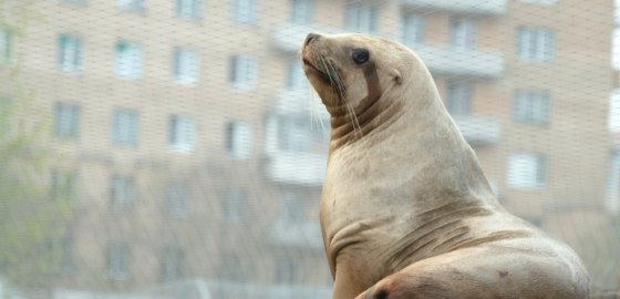  .        127 ,      .