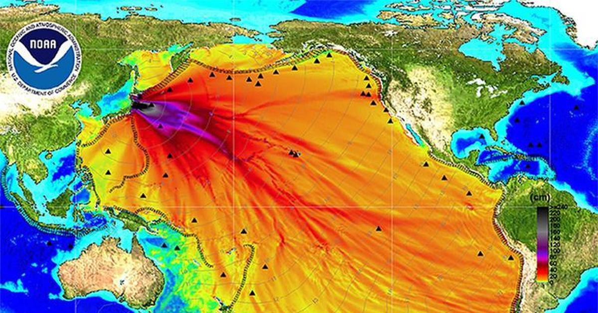 Карта загрязнения океанов. Фукусима карта заражения. Фукусима распространение радиации. Карта распространения радиации после аварии на Фукусиме. Карта распространения радиации Фукусимы.