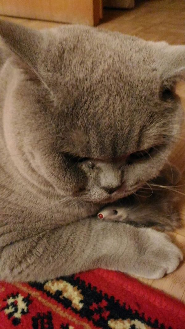 ���-�� �� ��� � ���� �����...