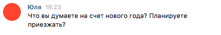 Дневник нового года - Новый Год, Моё, Хата на нг