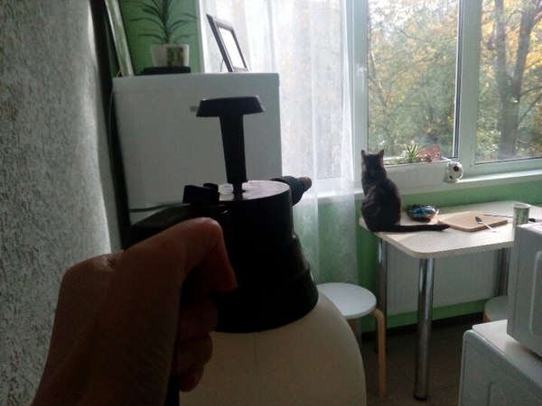 ���� �� ������������, ��� �� ����