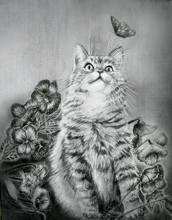 cat - My, Pencil drawing, Sketching, Art, Milota, cat