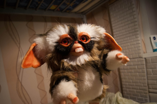 Lenny Magway - My, , Gremlins, Gizmo, Author's toy