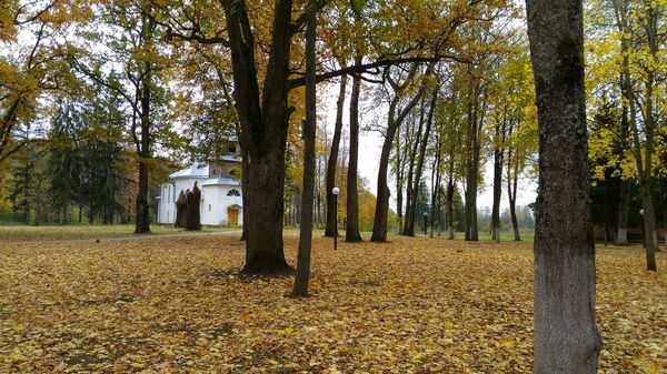 autumn beauty - My, Autumn, , beauty of nature