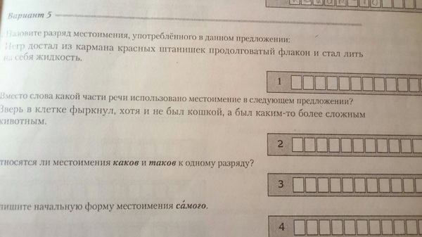 Тест по русскому языку (белорусское издание) - Моё, Негры, Русский язык, Тест