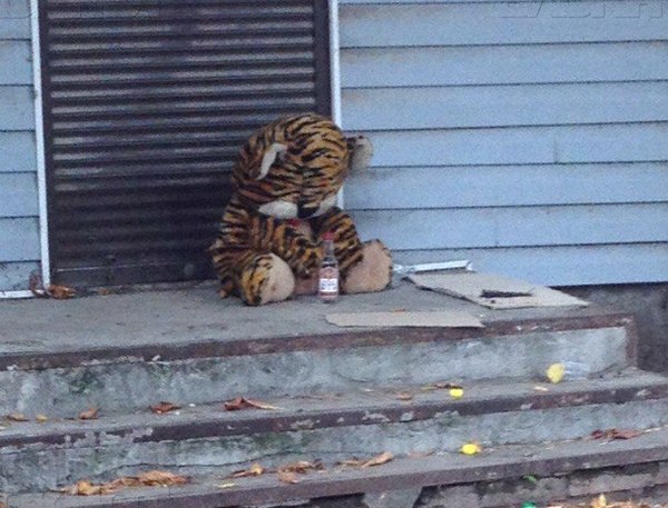 Tough Saturday morning - My, Tiger, Alcohol, Toys, The street, Installation, Novocherkassk