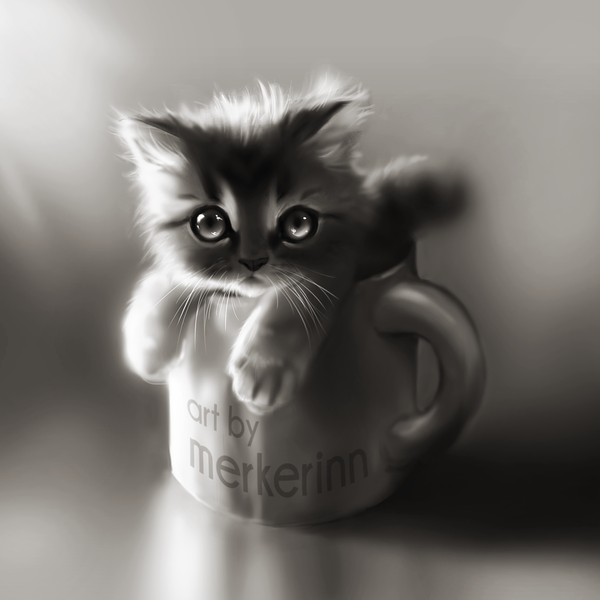 Cat in the Cup , , , 