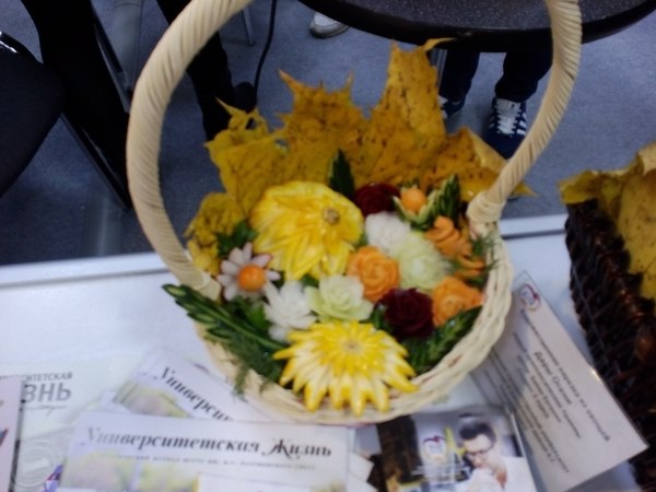 Что такое фестиваль Наука 0+ и с чем его едят? Наука0+, Фестиваль, Выставка, МГУ, Экспоцентр, Длиннопост