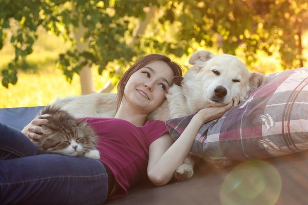 absolute idyll) - My, Summer, friendship, Dog, Cats and dogs together, Idyll, Kindness, Happiness