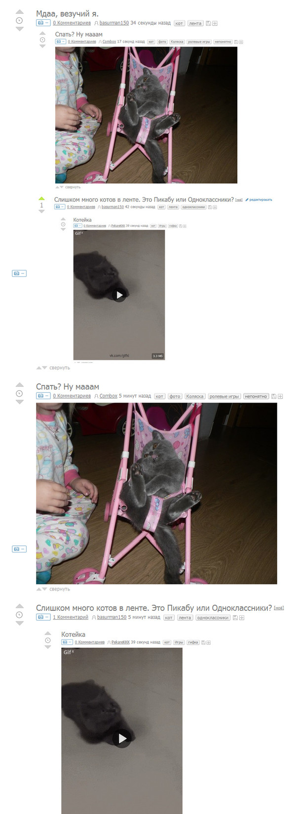 Больше котов в ленте