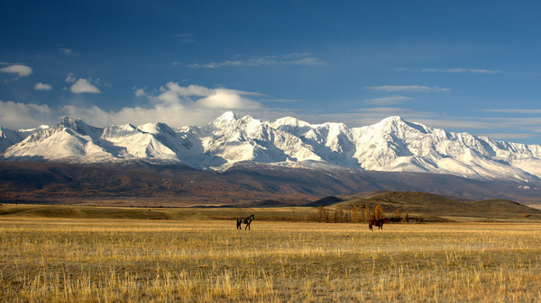 Kurai steppe. - My, , Mountain Altai, Kurai Ridge, , Altai Republic