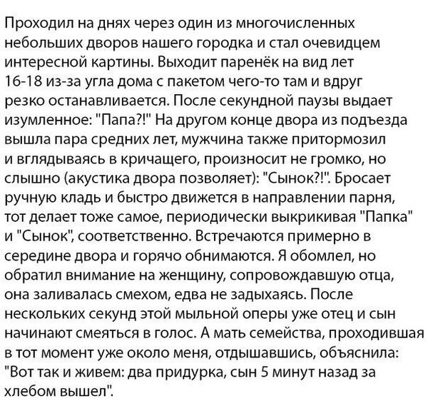 ���� ���������