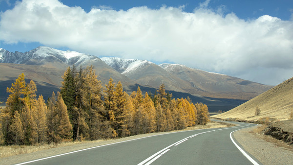 Chui tract. - My, Mountain Altai, Chuisky tract, Kurai Ridge, , Altai Republic