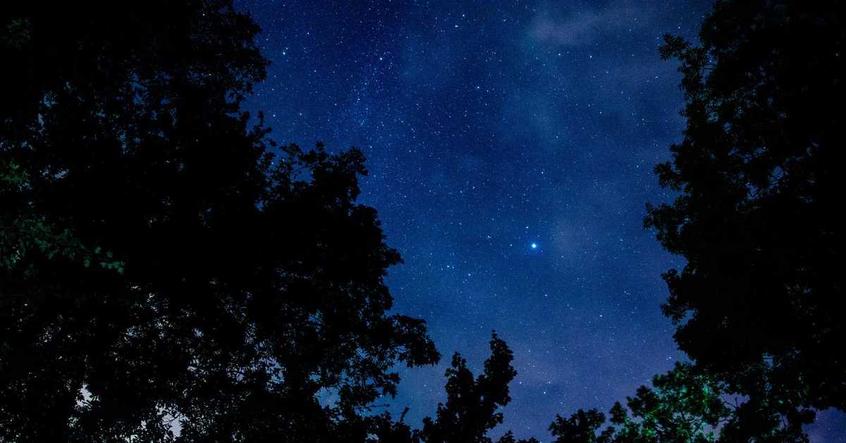 Quite night. Звездное небо в лесу. Тихая ночь. Звёзды над лесом летом. Тихая ночь фото.