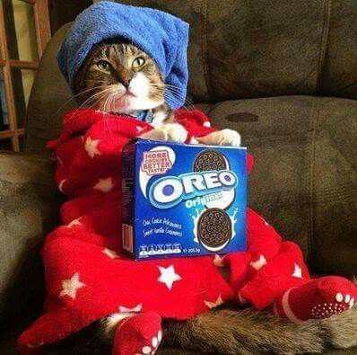 ����� �������� � ���, ��� 2016-� - �� ���� ��� � �������� ����� ����������� 2017-��� :)