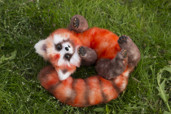 Pabu, a character from The Legend of Korra - My, Handmade, Polymer clay, Artificial fur, Red panda, Author's toy, Longpost, Avatar: The Legend of Korra