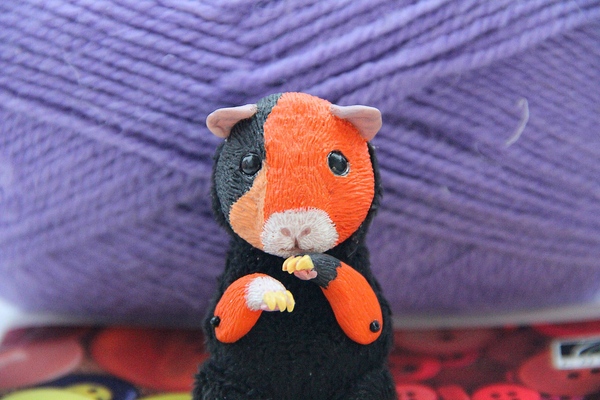 Mumps turned out - My, Handmade, Guinea pig, With your own hands