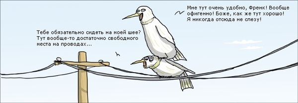 Get off my neck. - Comics, Wulffmorgenthaler, Birds, The wire