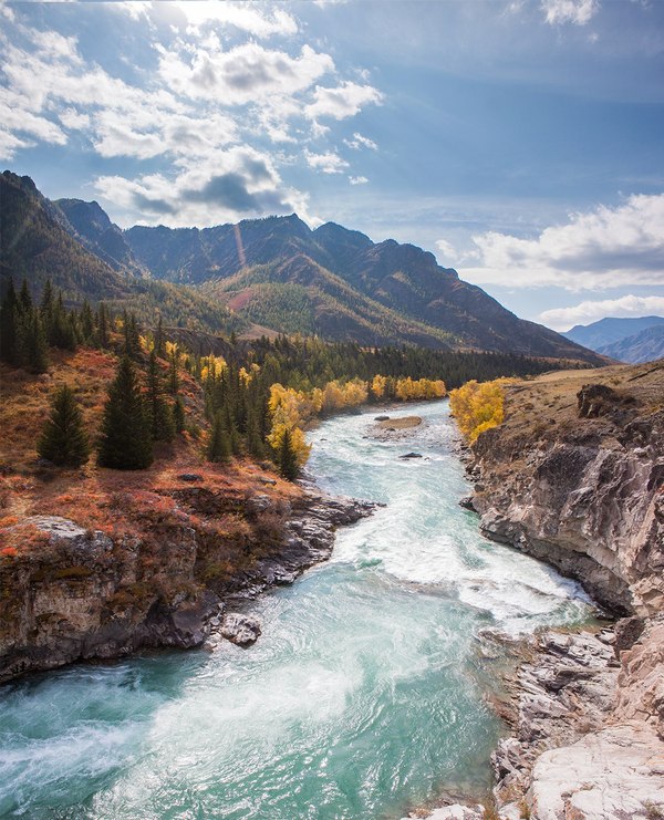Осенние краски реки Чуи, Алтай