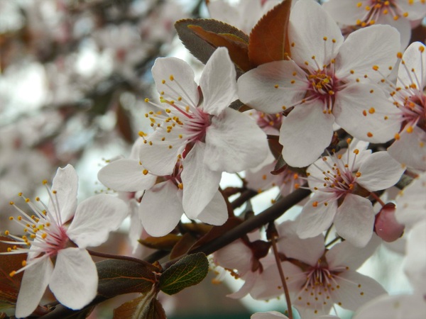 ����� ����� ���������� �����