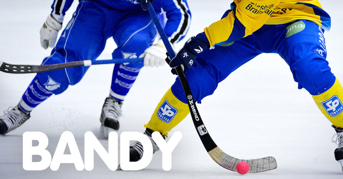 Бенди нет. Bandy хоккей с мячом. БЕНДИ игра хоккей. Шведская Элитсерия хоккей с мячом. Мяч для хоккея с мячом БЕНДИ.