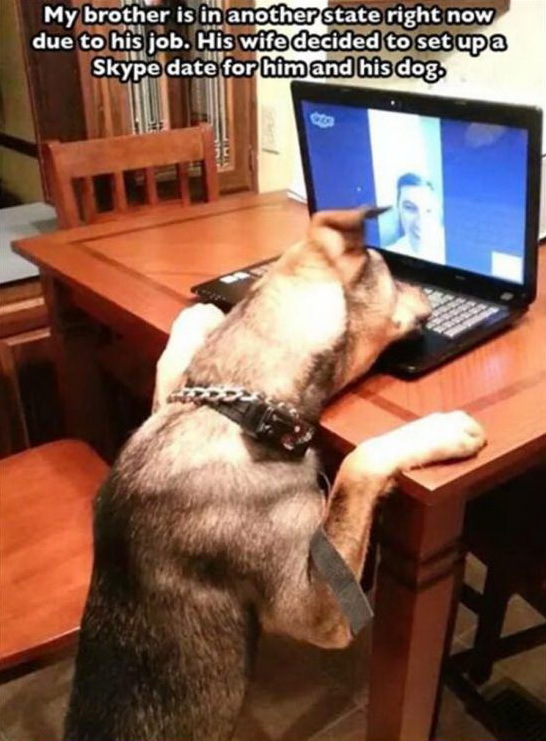     ,      ,     ... Skype, , , 