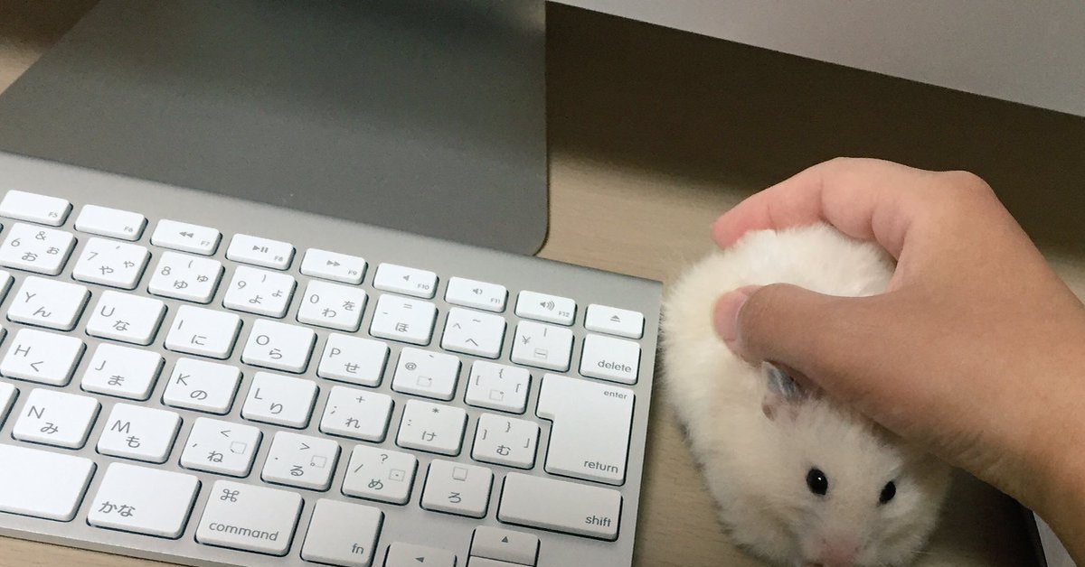 Мем с мышкой с большими глазами. Мемы про мышку. Прикольная компьютерная мышь. Смешные компьютерные мышки. Компьютерная мышь животное.