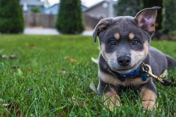 ���������� ������������ �����!