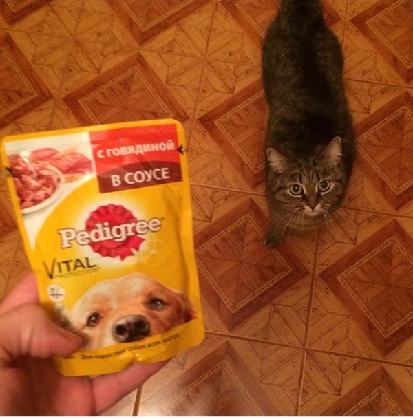 Идеальное преступление