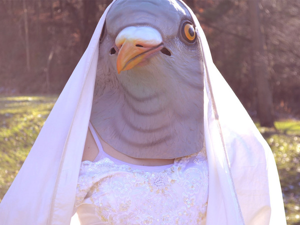 Человек, человек, а хочешь стать голубем?