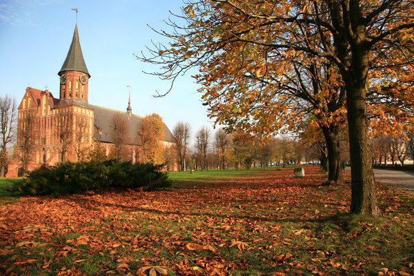 Today in Kaliningrad - Kaliningrad, Autumn, 