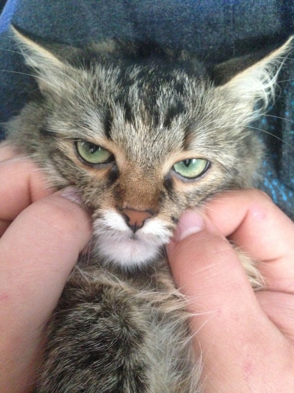 � ���������������� �������������