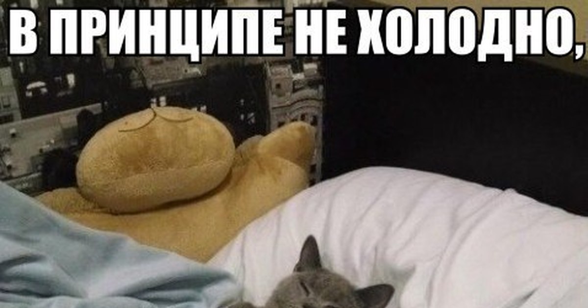 В принципе можно