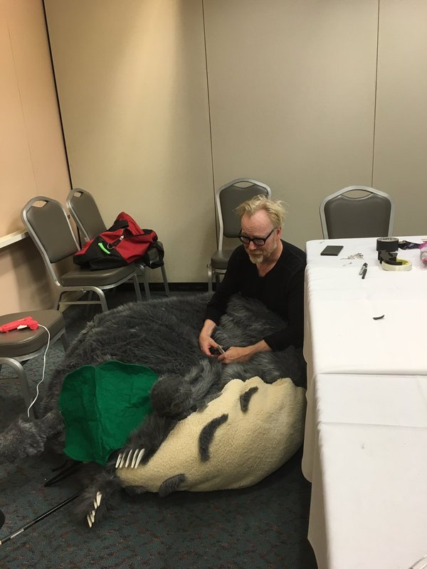  5     Comic Con,  Totoro-   .