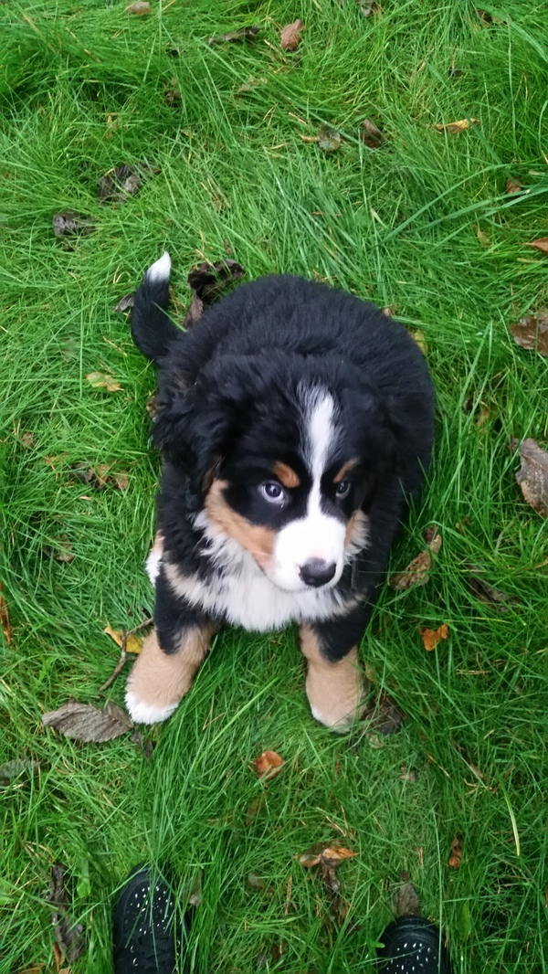 Ÿ ����� �������.