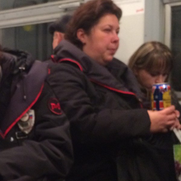 Когда зайцы уже совсем достали | Пикабу