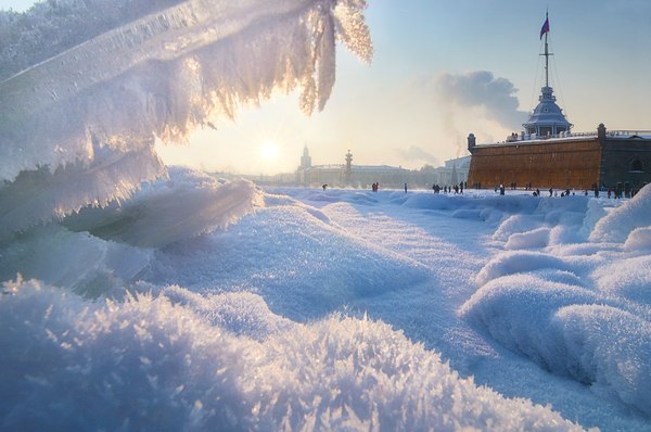Frost and cold in your tape ...) - Russia, Saint Petersburg, Winter, freezing, Cold, Snow, Photo